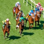 Noel’s Weekend Winners: Saturday Stakes to Kick Off Memorial Day Weekend